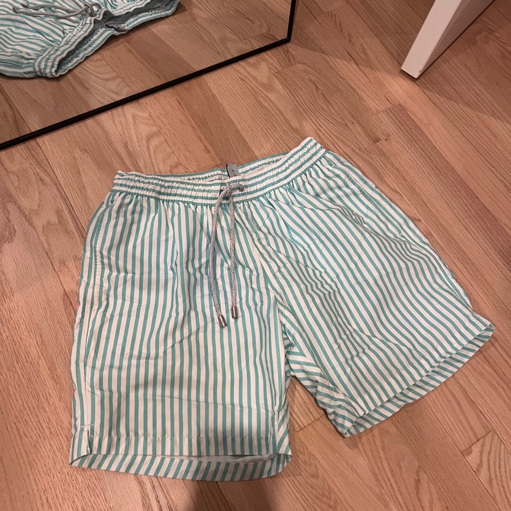 Bluemint Men’s Striped Green Swim Shorts